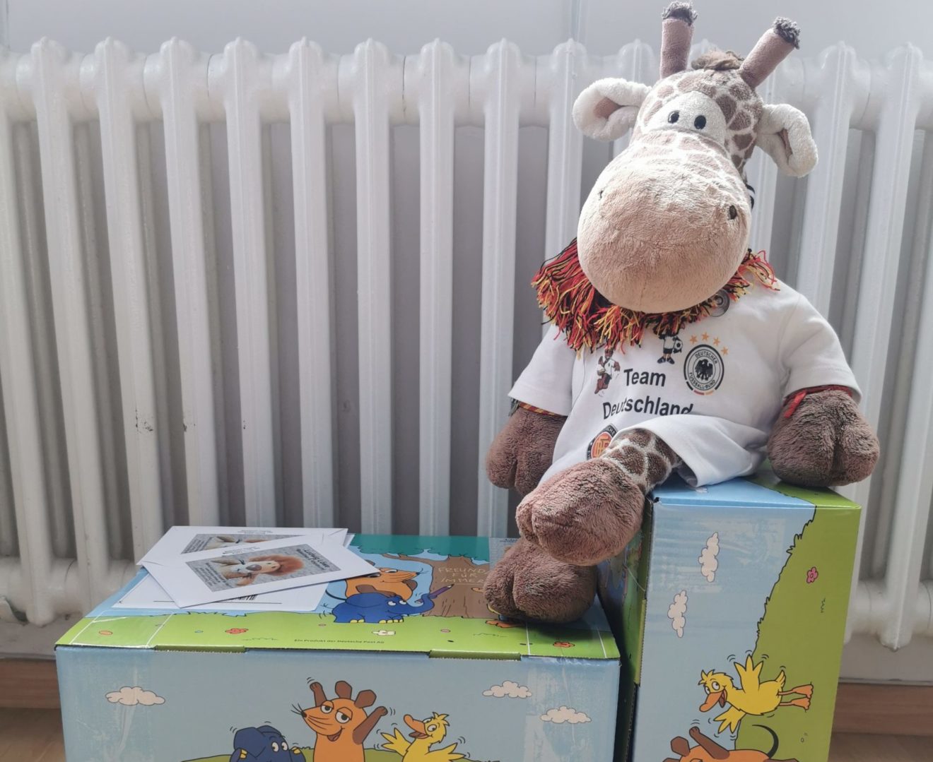 Die Gewinner stehen fest