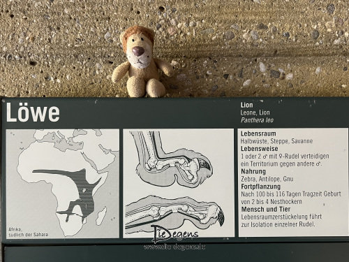 Ludwigs Abenteuer – Folge 172 – Teil 3